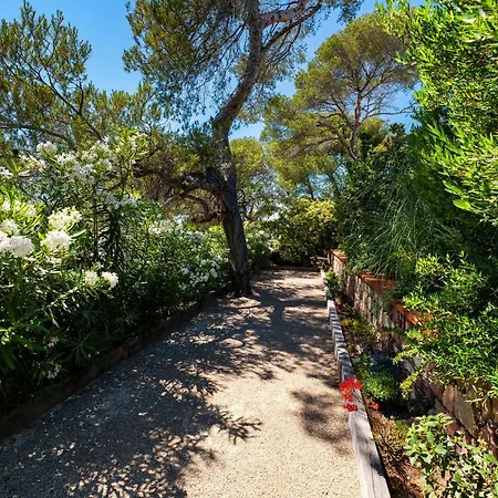 Catleya Appartement *