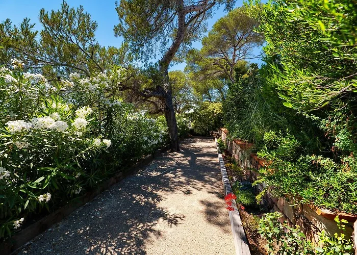 Catleya アパート *